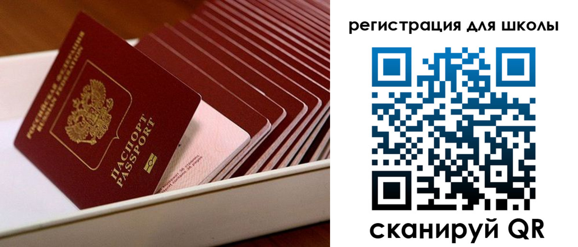 прописка гарантия в Хасавюрте